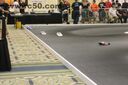 Filename=IMG_7374.JPG
Filesize=424KiB
Dimensions=3088x2056
Date added=Feb 11, 2024 IMG_7374.JPG