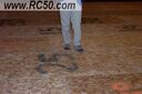 Filename=DCP_2267.JPG
Filesize=411KiB
Dimensions=2048x1365
Date added=Feb 10, 2024 DCP_2267.JPG