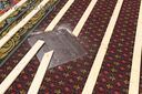 Filename=IMG_2144.JPG
Filesize=582KiB
Dimensions=2048x1363
Date added=Feb 11, 2024 IMG_2144.JPG